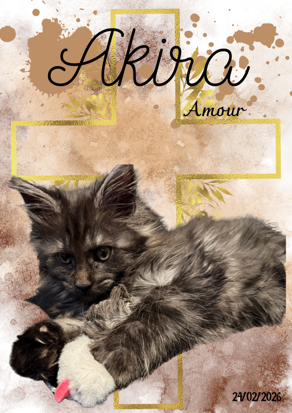 Cadre compagnon fidèle