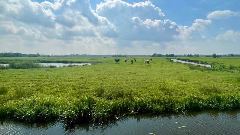 img_9670-standard.jpg