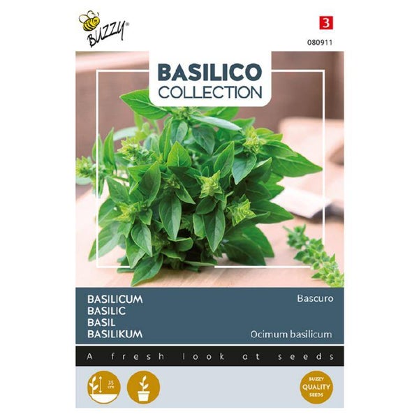 Basilicum - Bascuro