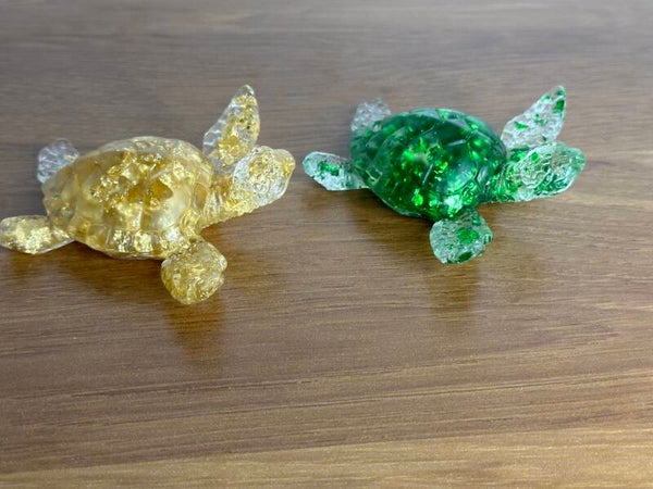 Petite tortue