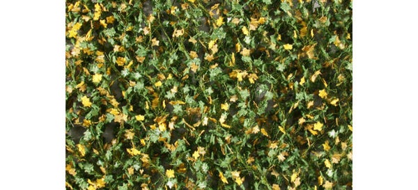 Ahornlaub