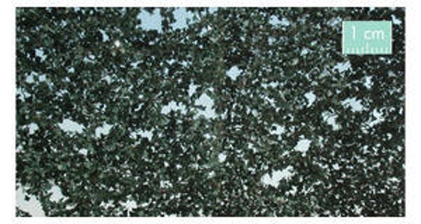 Begrünungsmaterial individuell, Efe