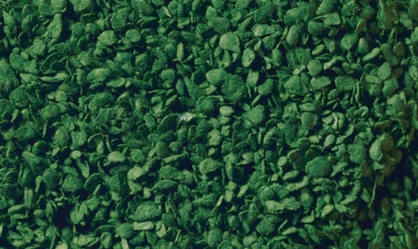 Begrünungsmaterial, Laub für Gebüsch