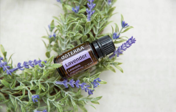Lavender 15 ml