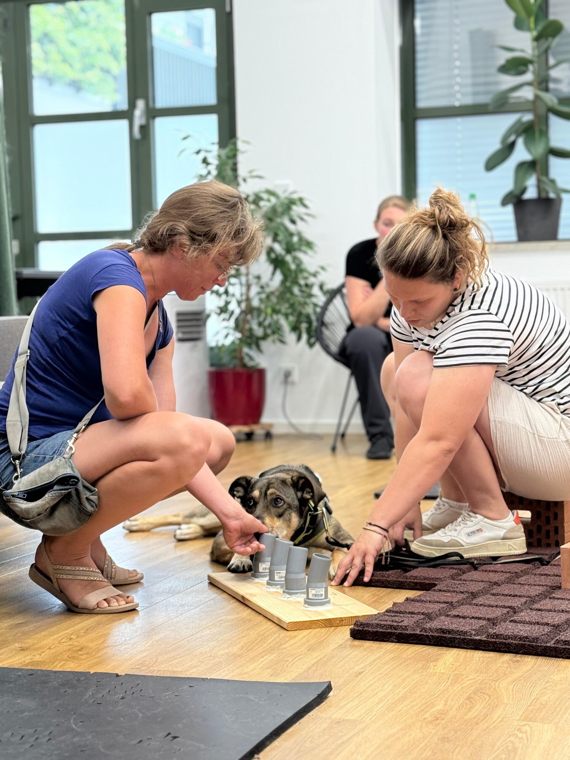 Gegenstandsanzeige in der Hundeschule LuCanis in München und Bruckmühl