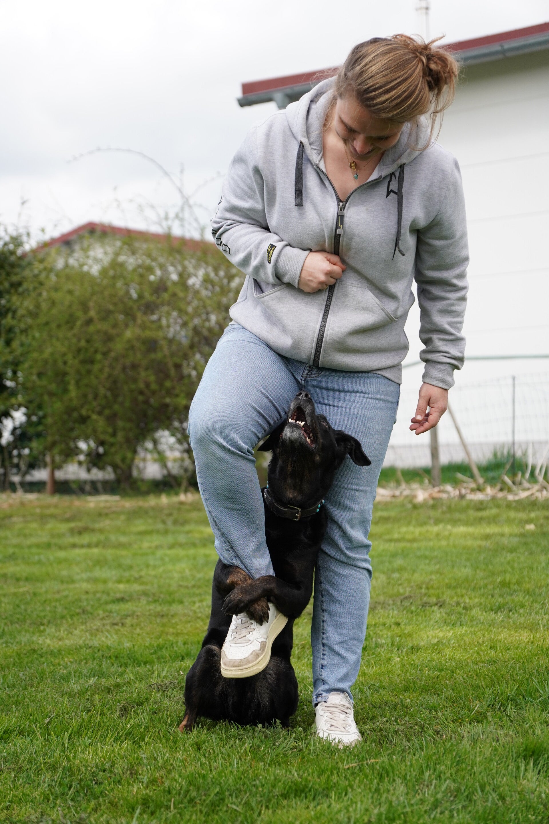 Schwarzer Hund beim Training, zwischen den Beinen des Halters und hölt das angehobene Bein der Halterin