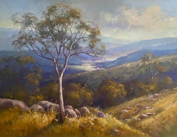Overlooking Nundle from Hanging Rock
