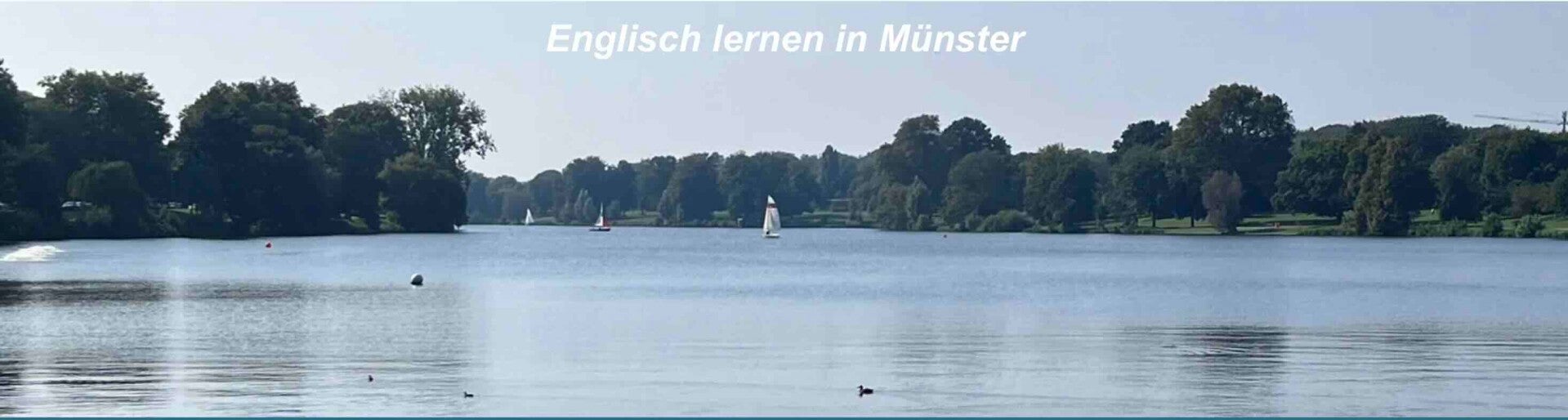 Aasee Münster - Sommer