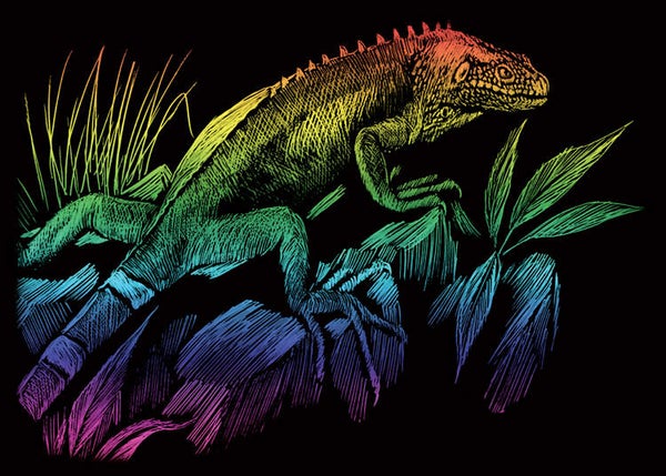 RAINMIN105 - IGUANA RAINBOW