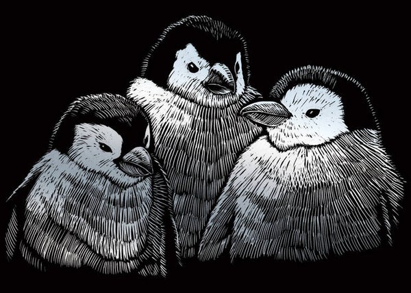 SILMIN106 - Penguin Chicks
