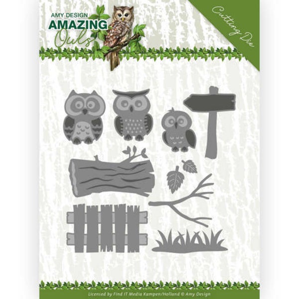 ADD10217 Amazing Owls - Owl Family