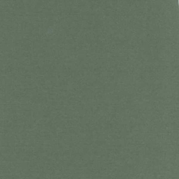 41 Basilicum