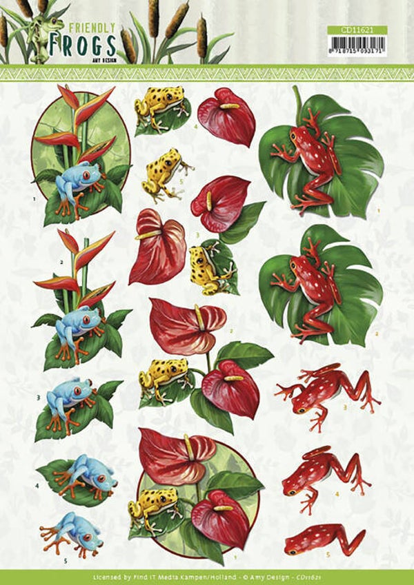 Friendly Frogs - Poison Frog