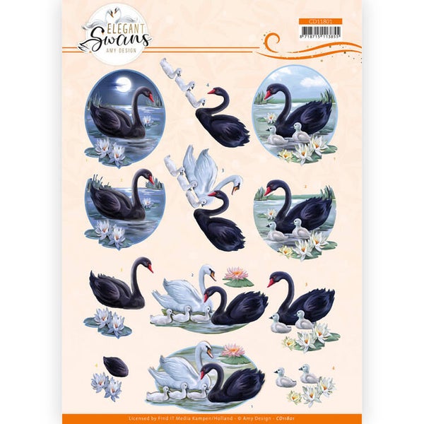 Elegant Swans - Black Swans