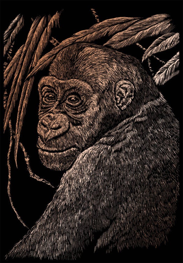 COPF18 - APE COPPER