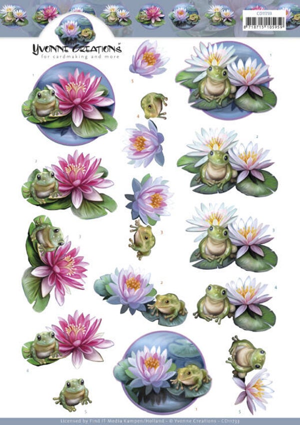 Frog and Water Lily - cd11733