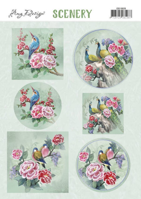 CDS10026 Amy Design - Aquarella - Birds