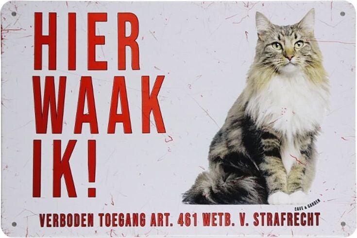 Plakkaat Hier waak ik , poes
