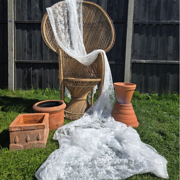 Peacock Chair