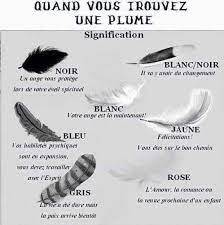 les plumes et significations