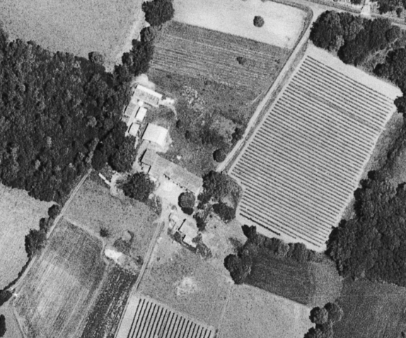 famille exploitation évolution charentes cognac pineau terroir authenticité