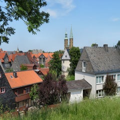 dhgo-183-standard-81jqtu.jpg