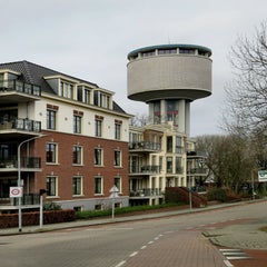 i285697114412514274-standard.jpg