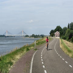 i285697114420641650-standard.jpg