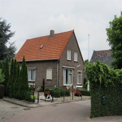 i285697114420641677-1-standard.jpg