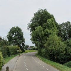 i285697114420642177-standard.jpg