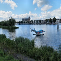 img_7827-standard.jpg