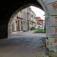 img_7965-standard.jpg