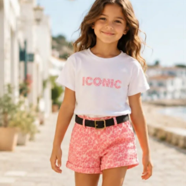 Ensemble "ICONIC"