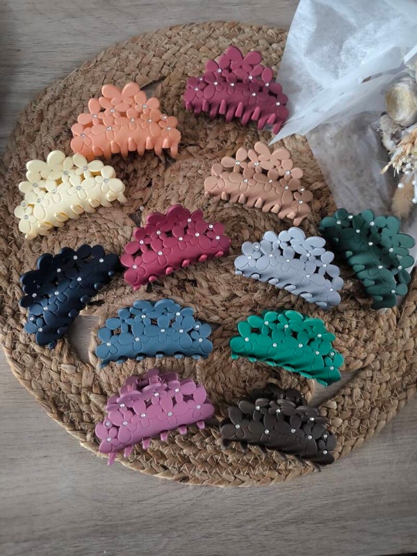 Pinces crabe brillant