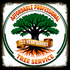 Affordable Professional Tree Service