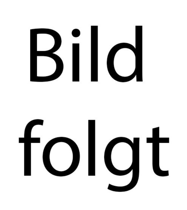 Dadant Blatt Beute normal "12er"