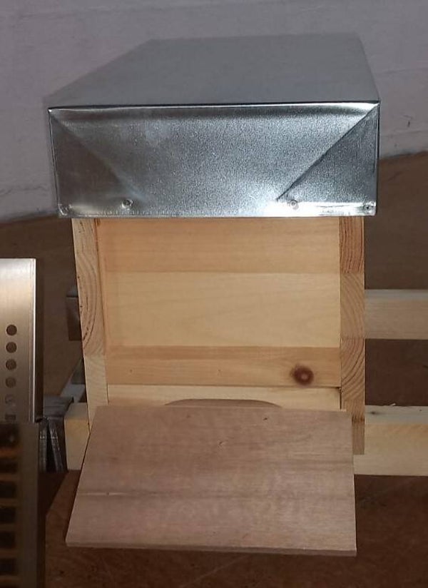 Zander Ableger normal