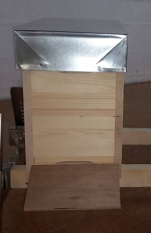 Dadant Blatt Ableger normal