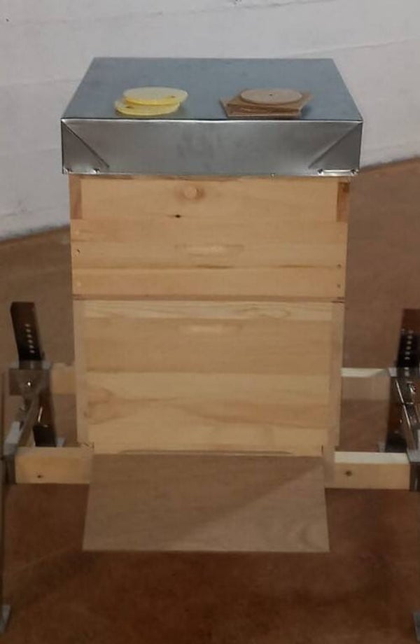 Dadant Mod Beute normal "12er"