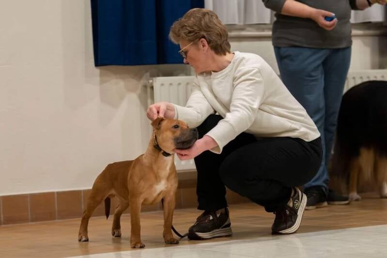 Staffjoy´s As Requested | QUEST - op deze foto zes maanden