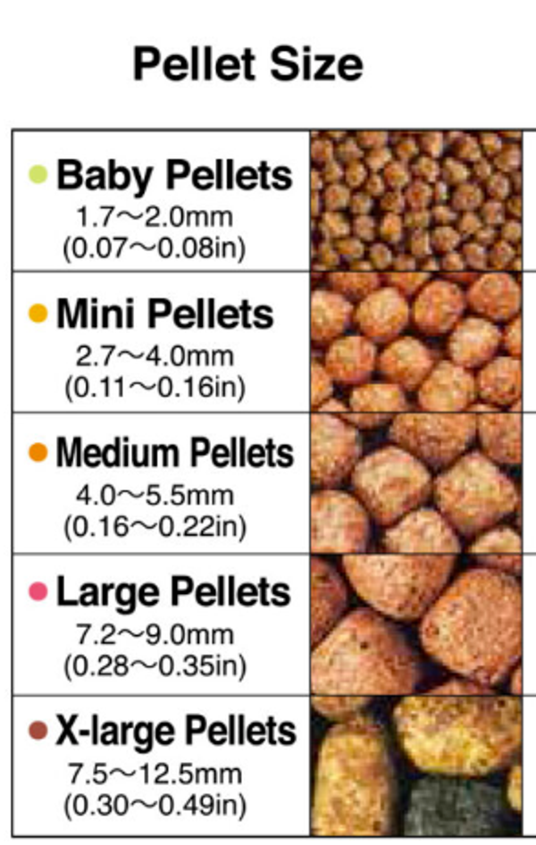 AXOLOTL PELLETS