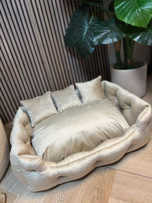 Luxury bed velvet champagne