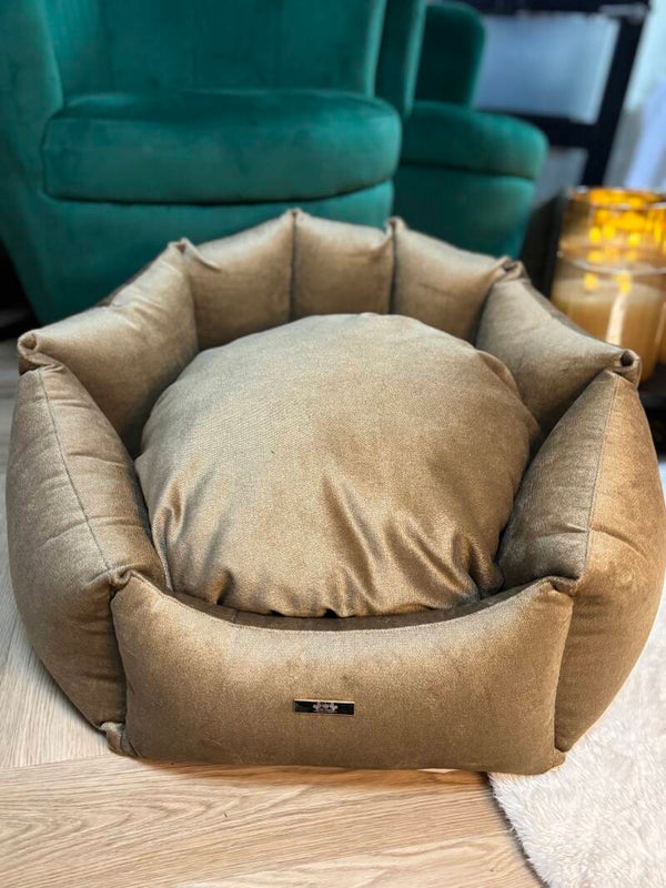 Luxury shell golden