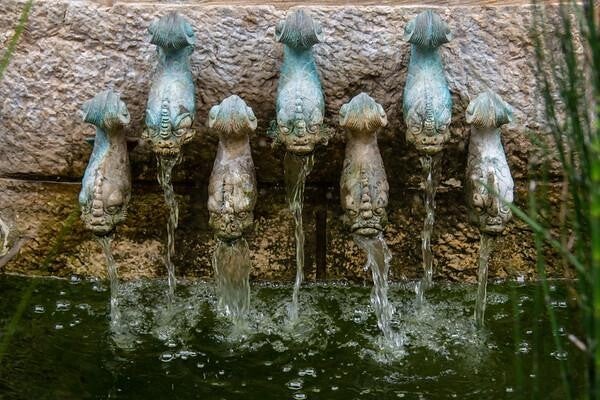Le sorgenti di Tabgha sulla riva del lago di Galilea