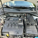 19-standard-fijj4w.jpg
