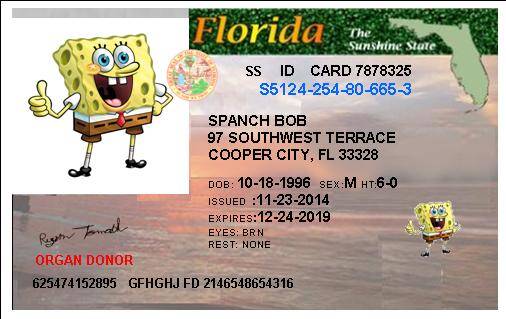florida-new-standard-775eci.jpg