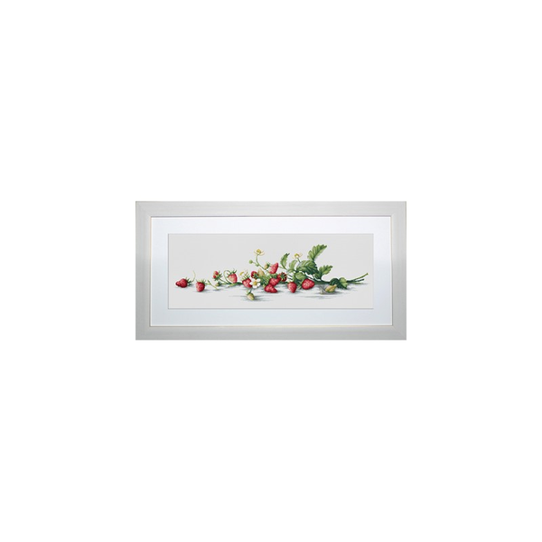 Borduurpakket Etude with Strawberries - Luca-S