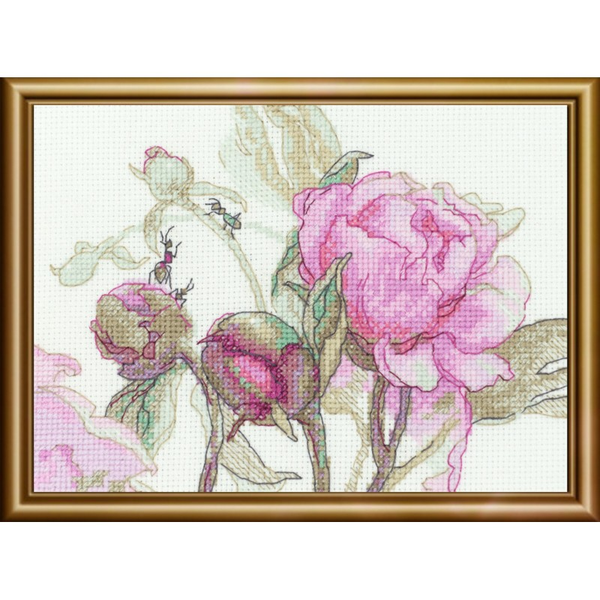 Borduurpakket Peonies - Delight - Aine