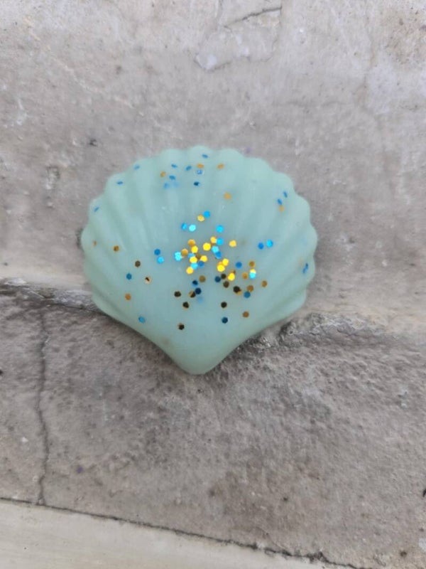 Coquillage - Vanille des îles