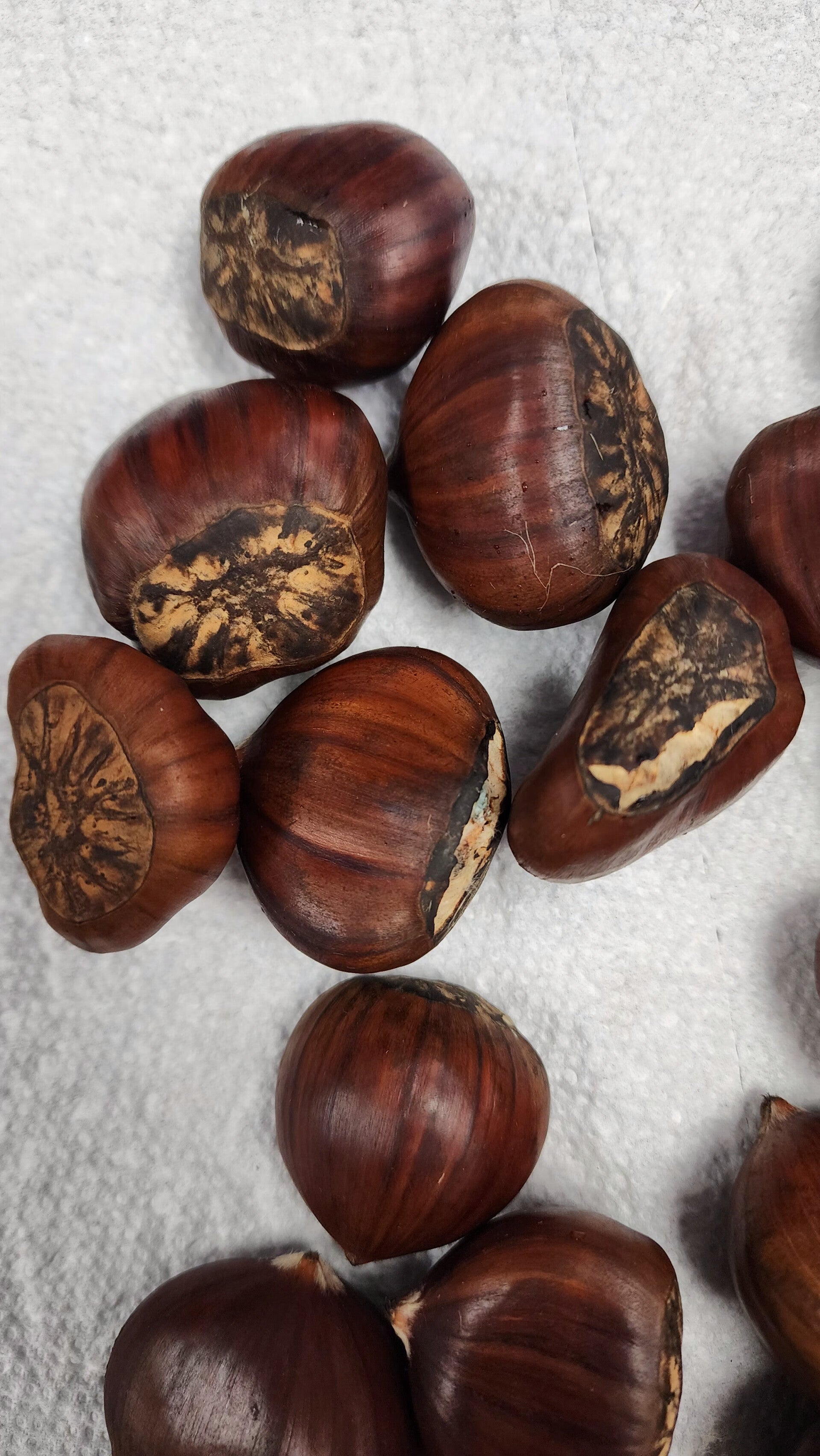 Small Chestnuts